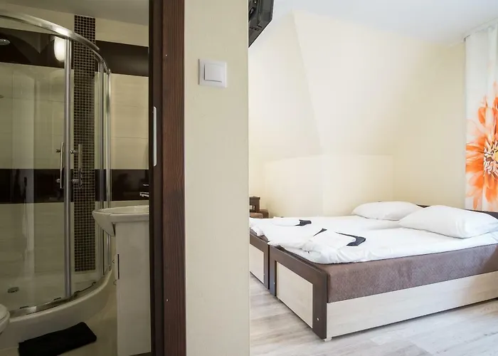 Budzowy Dworek Pensión Murzasichle